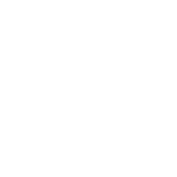 Элитра